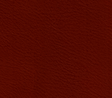 A sample of ADCO's BAGGUETTE leather
