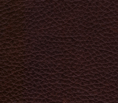 A sample of ADCO's BOSCAGE leather