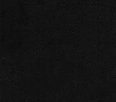 A sample of ADCO's GIO leather