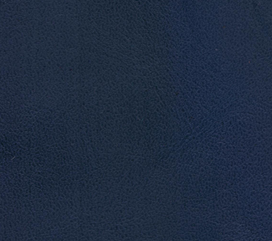 A sample of ADCO's KARRYLEST leather