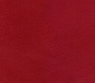 A sample of ADCO's SILVA leather